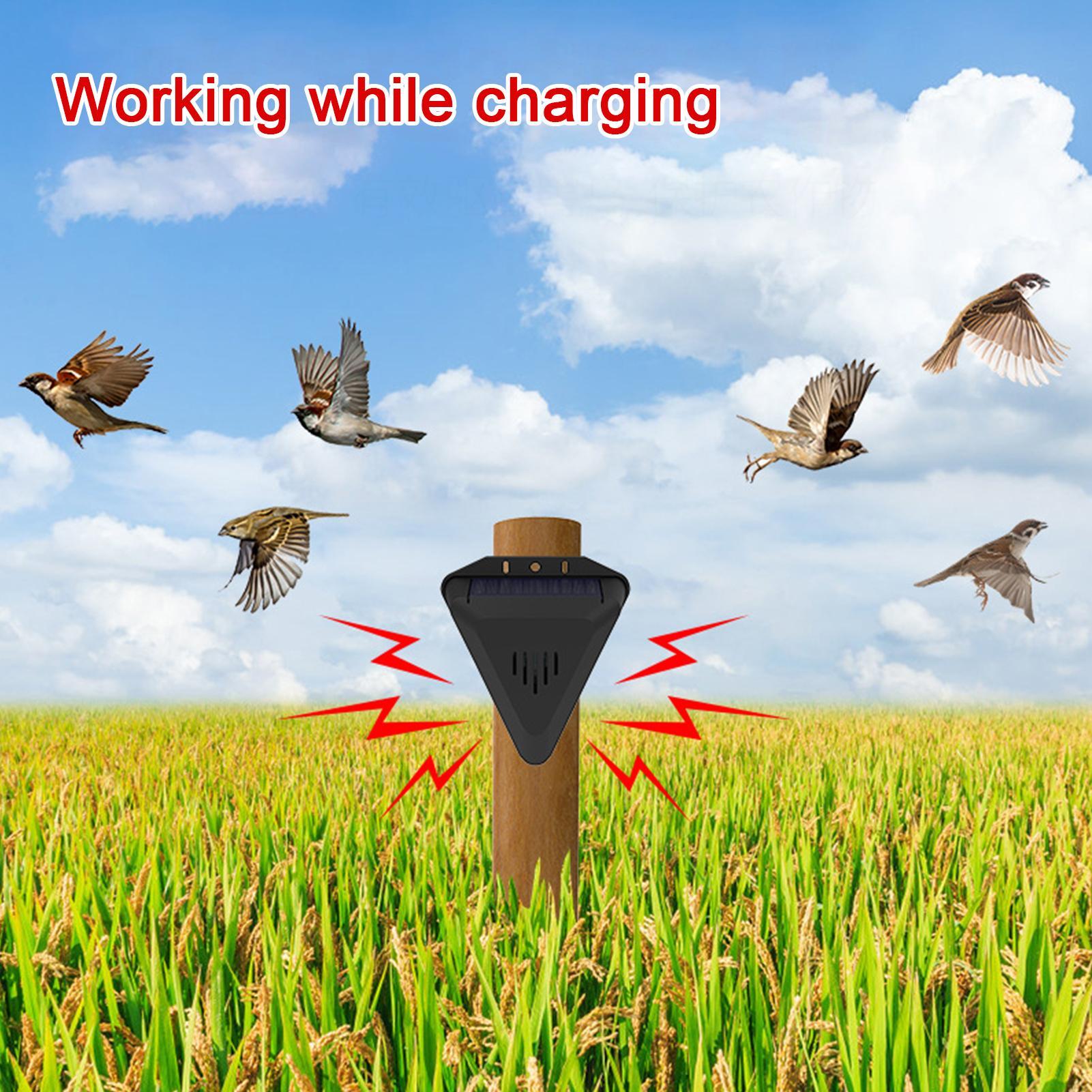 Solar Timer Bird Repeller With - Outdoor Power Hours 评论和价格
