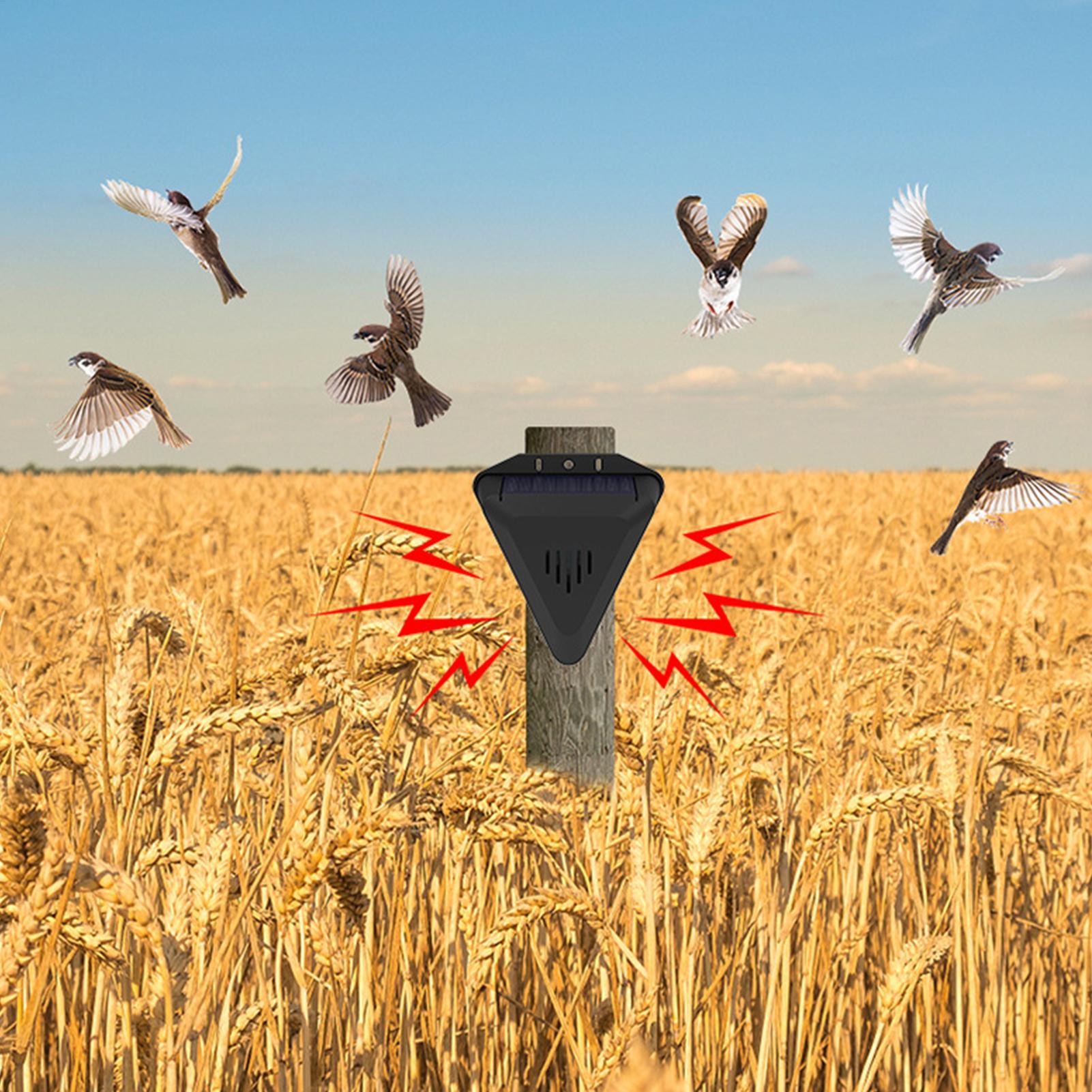 Solar Timer Bird Repeller With - Outdoor Power Hours 评论和价格